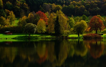 Reflejos Otoñales de IRENE PARIS BARRIOS